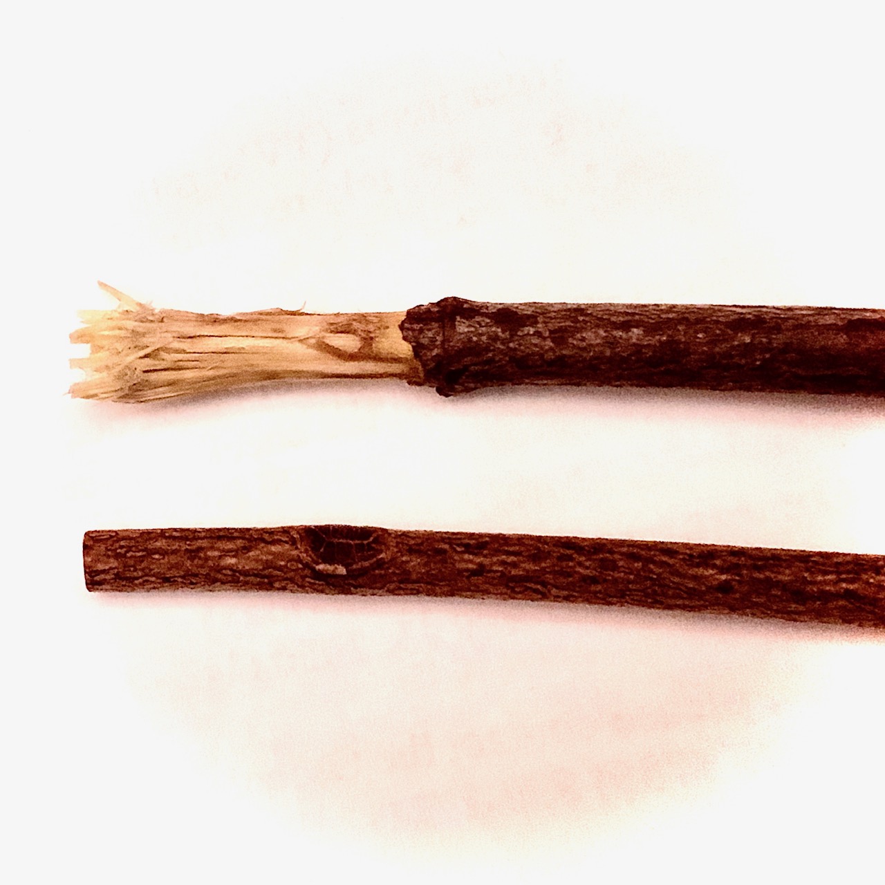 Stick With Brushing The Indian Leader